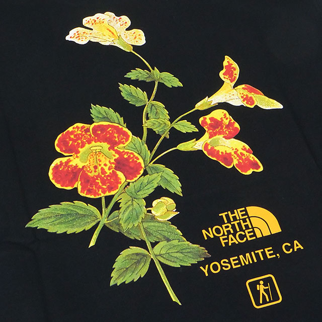 ザ・ノース・フェイス THE NORTH FACE Tシャツ メンズ ショート