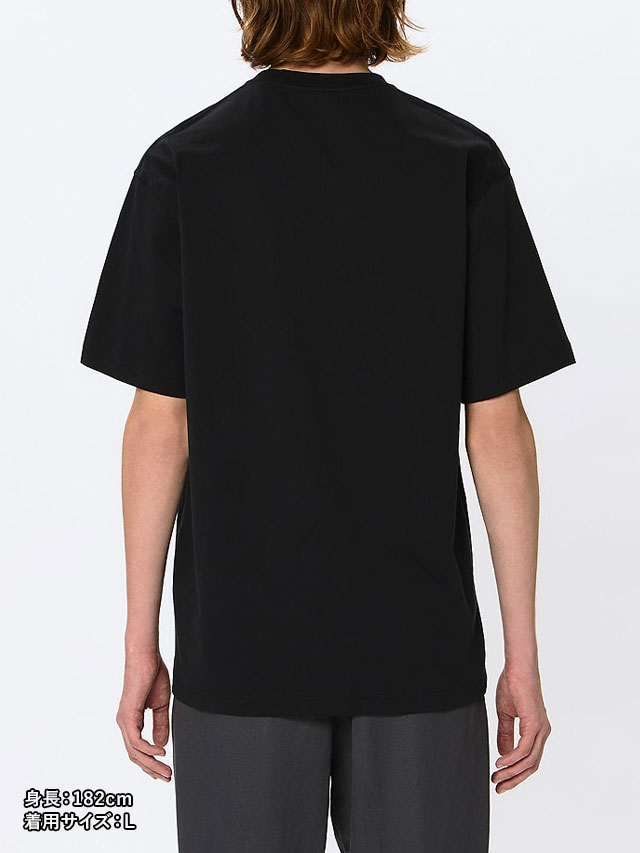 ザ・ノース・フェイス THE NORTH FACE Tシャツ メンズ ショート