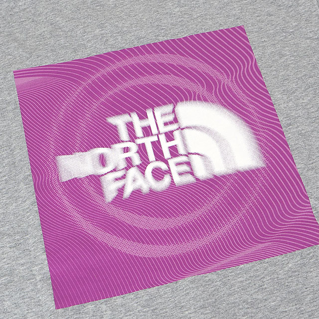 ザ・ノース・フェイス THE NORTH FACE Tシャツ メンズ ショート