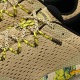 15OFFSALEۥ MERRELL ˡ ٥ѡ 6 [J068463 SS25] M VAPOR GLOVE 6   ȥ쥤˥ ٥եåȥ塼 ȥɥ GOBI 谷Źts