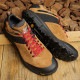 ̵ۥʡ Danner ȥɥ ȥ쥤 2650ƥå TRAIL 2650 GTX [61297 FW21]  ˡ ӥ֥ॽ BROWN/RED ֥饦