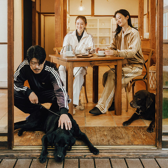 アディダス オリジナルス adidas Originals ファイヤーバード ベロア