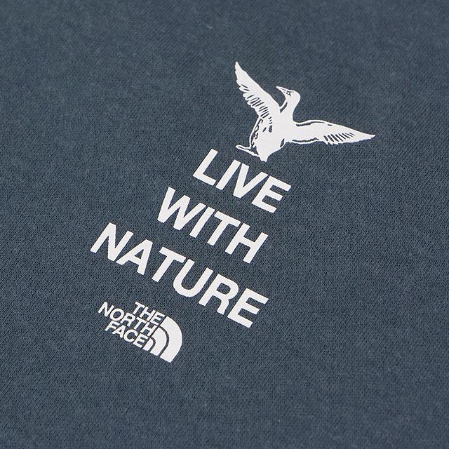 ザ・ノース・フェイス THE NORTH FACE Tシャツ メンズ ショート