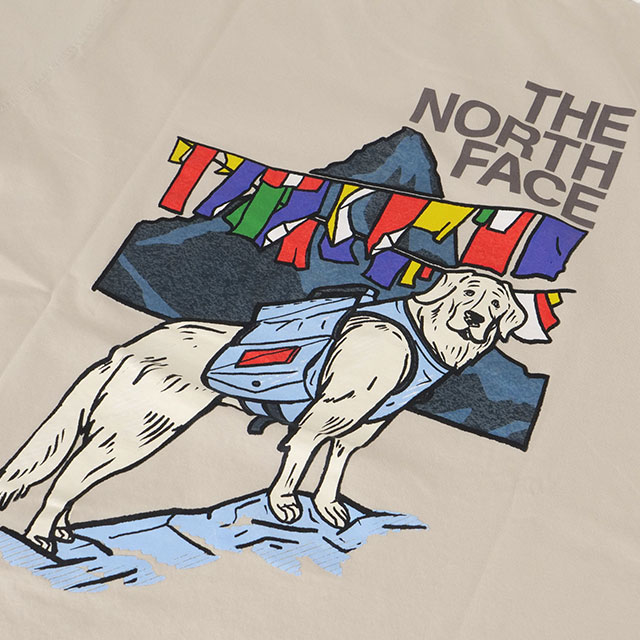 THE NORTH FACE - チロルとさせていただきます ザ・ノース・フェイス THE NORTH FACE Tシャツ メンズ ショート