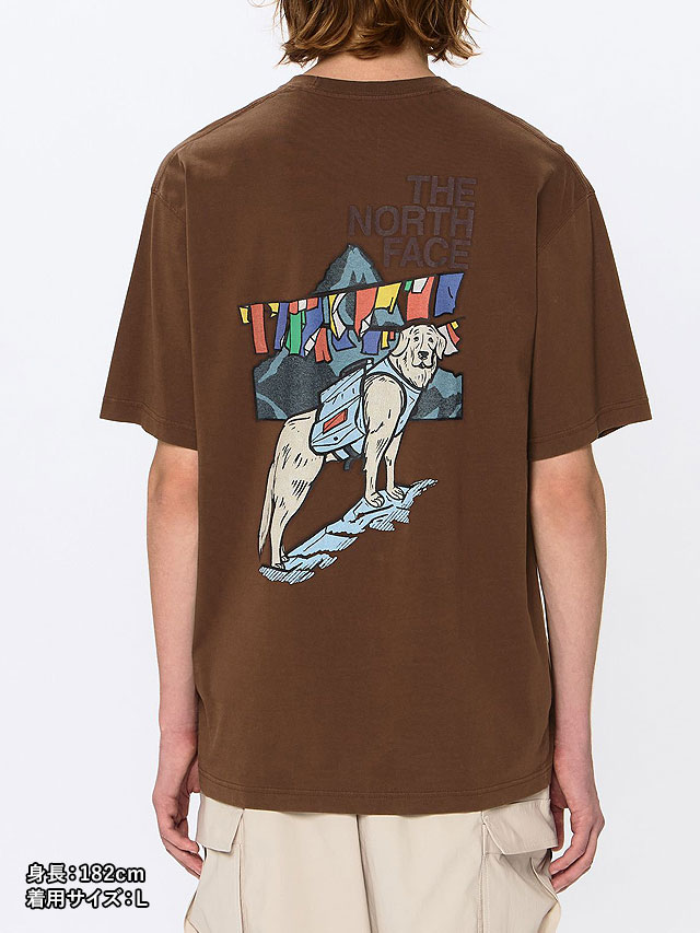 ザ・ノース・フェイス THE NORTH FACE Tシャツ メンズ ショート