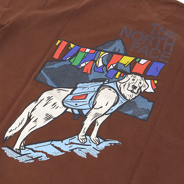 ザ・ノース・フェイス THE NORTH FACE Tシャツ メンズ ショート