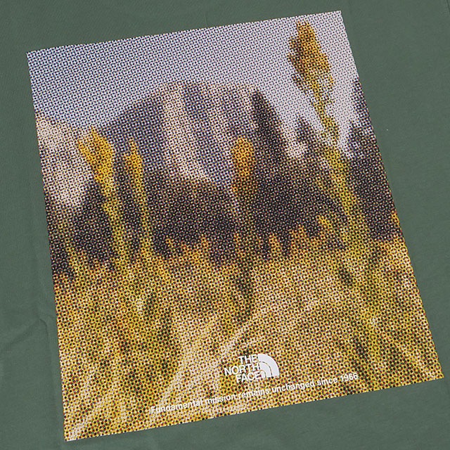 SALEۥΡե THE NORTH FACE 硼ȥ꡼֥եåɥ饤ԥץȥåȥƥ [NT32549-DG SS25] S/S FD Pixel Plant Cotton Tee  ȥåץ ȾµT ۴® å꡼ ڥ᡼ 谷Źts