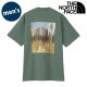 SALEۥΡե THE NORTH FACE 硼ȥ꡼֥եåɥ饤ԥץȥåȥƥ [NT32549-DG SS25] S/S FD Pixel Plant Cotton Tee  ȥåץ ȾµT ۴® å꡼ ڥ᡼ 谷Źts