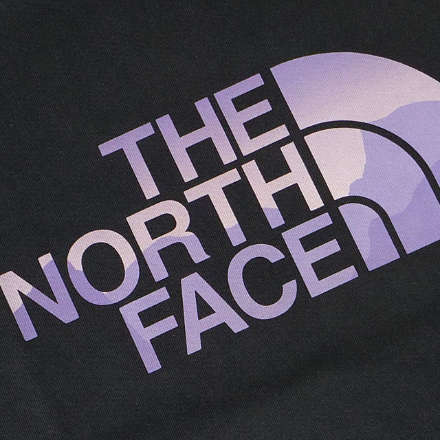 Ρե THE NORTH FACE  硼ȥ꡼֥ǡեƥ [NT32452-K SS24] S/S Day Flow Tee TNF ȥåץ Ⱦµ T ȥɥ ֥å