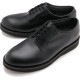 ʡ Danner  ݥȥޥ ץ롼 [D214370 SS24] POSTMAN W/P   塼 ӥͥ 奢 BLACK