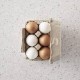 Kid'sConcept Eggs 6 pcsʥå󥻥ץ å