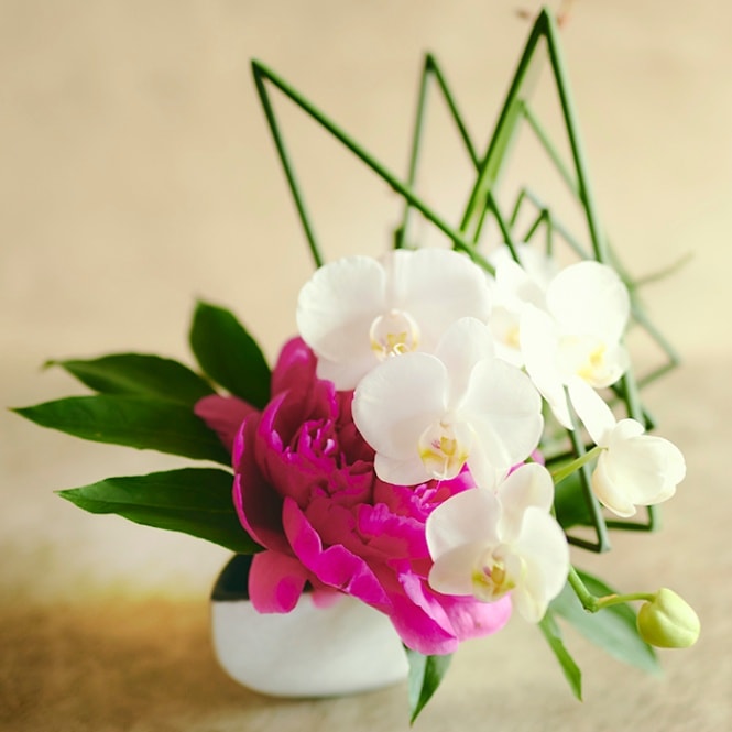 胡蝶蘭のモダンスタイルアレンジメント