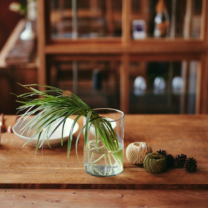 グリーン×フラワーベース