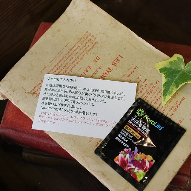 商品写真