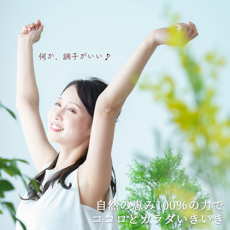 ムーミン 黒ごまアーモンドきな粉90g×12個セット