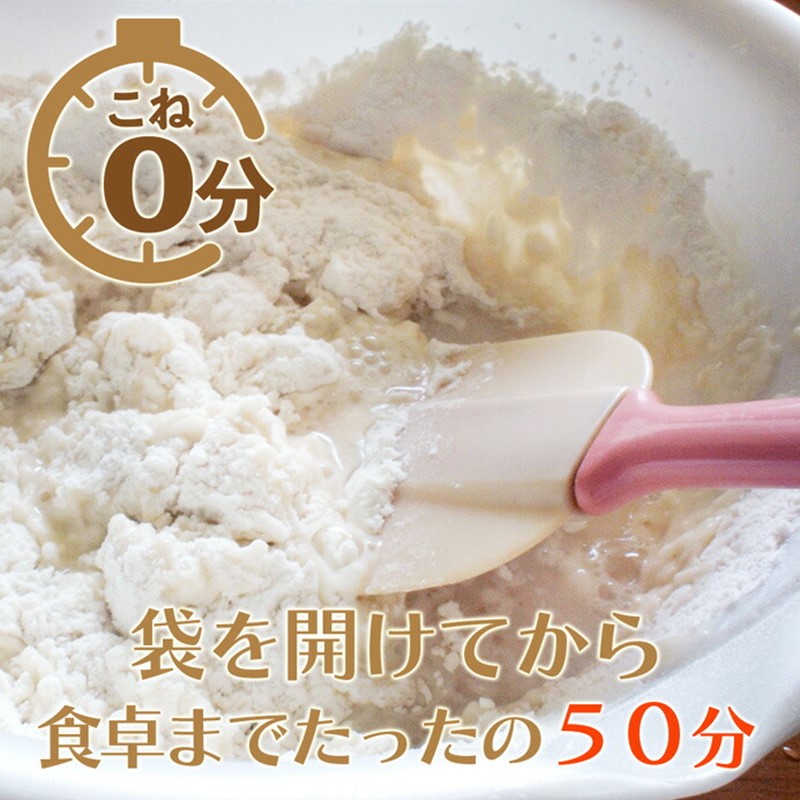 【送料無料】お米で作った簡単パンミックス300g×10個セット