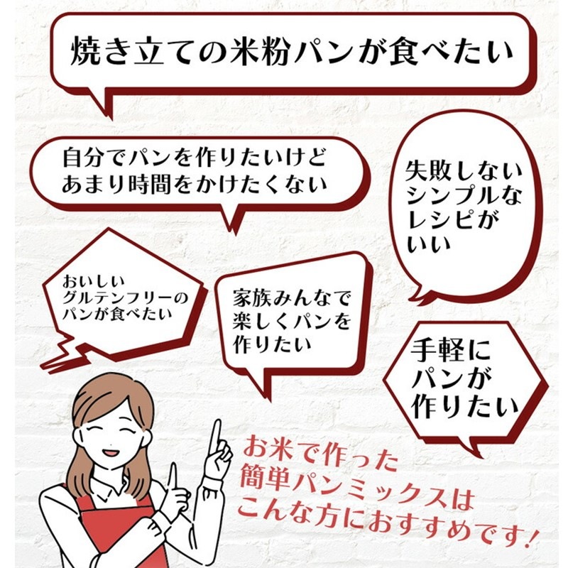 【送料無料】お米で作った簡単パンミックス300g×10個セット