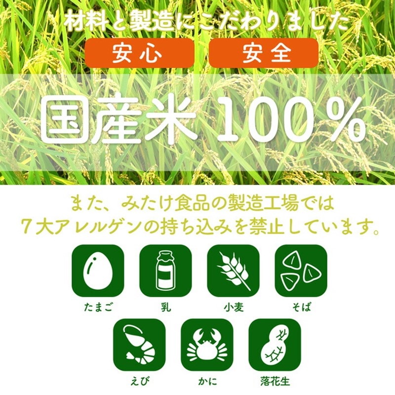 お米で作った簡単パンミックス300g×10個セット