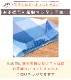 ڥ᡼̵ å ץ Ѷ  3å 110cm/130cm/150cm ǥ˥ ̵ å ɥå ȥ饤  ˤλ λ