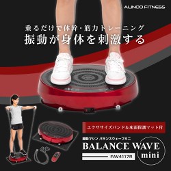 FAV4117R　アルインコ 2D振動マシン バランスウェーブミニ　保護マット付き　【送料無料!(北海道・沖縄・離島除く)】