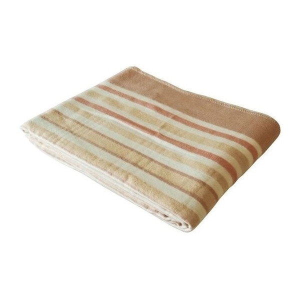 ■TEKNOS（テクノス）大判セミダブルサイズ洗える掛け敷き毛布 (200×140cm) ［ベージュ系］EM-8015