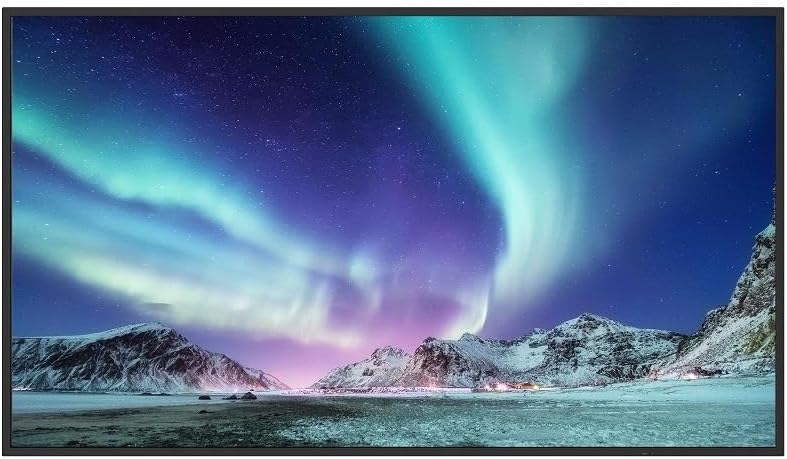 シャープ SHARP 55型デジタルサイネージ PN-HW552