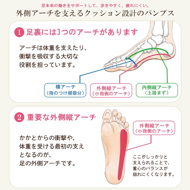 ��ȿ���� ���ݡ��� �ѥ�ץ� ���� ���ȥ�å� ���������ݡ��� �ˤ��ʤ� ���餫�� ������ �������� ��ǥ����� ���������ȥ� ����󥭡��ҡ��� �Ż� �̶� ���� LINIA by SUaSHI ��˥� ������������ [foo-mg-ls0001]