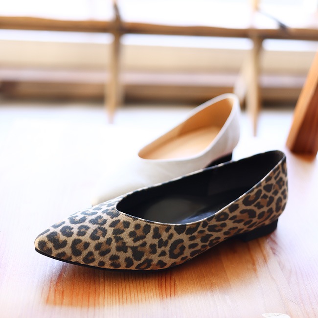 SUaSHI  ѥץ ݥƥåɥȥ ǥ Vå ˤ եå  ҡ  [FOO-SN-SARAH]