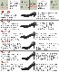 뾦 MEET TOEۺ٤  ѥץ ǥ ˤʤ ʤ Ĺ ؼ 뺧  ⤭䤹 ̶  ֥å [FOO-KK-MIX]H9.0