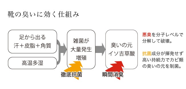 �ڷ��˸����۷����ѹ��ݾý����ץ졼���������5ml���ý��� ���󥽡��� �� �ý����ץ졼 ��Ȣ ���� ����Ȣ��̵�� �ߥ�� �и� ���ȥ饹 ���̷�[foo-sf-5]