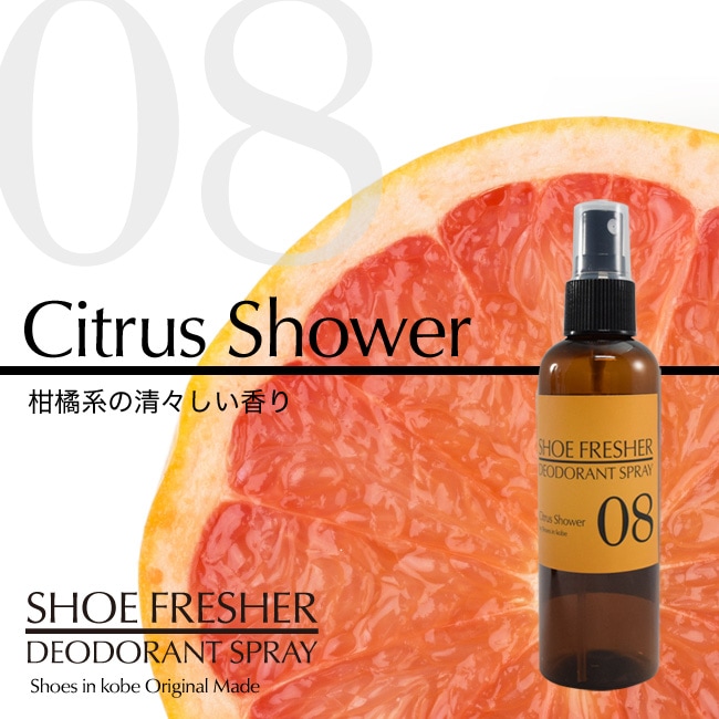 ڷ˸۹ݾýץ졼100ml ý 󥽡  ýץ졼 Ȣ  Ȣ ̵ ߥ и ȥ饹 ̷ [foo-sf-100]