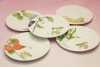 �Ȥʤ�Υȥȥ���15��5cm�ץ졼�ȥ��å�(���Ѥ��)1704-15L/VF94531