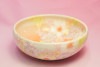 ゆずりは　紅彩花雅　預け鉢|和食器