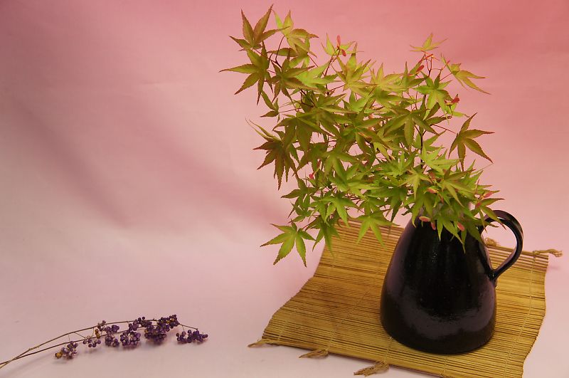 水差し型 花入れ（植山黄世） | 注目商品 | | 食器のみつはた