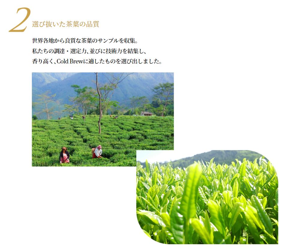 WN Cold Brew Tea 󡦥եȥեå -Single Estate Happy Valley- 720ml 12