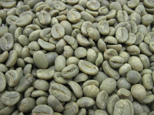 ������̵���� �����ҡ���Ʀ �����ƥޥ� SHB 5kg����Ʀ��