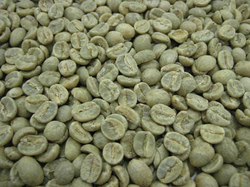 ������̵���� �����ҡ���Ʀ ���󥶥˥� AA��10kg����Ʀ��