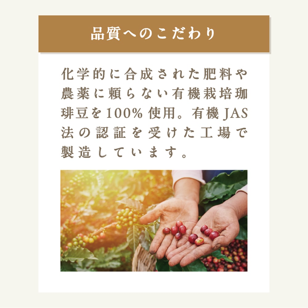 ̵ۥ˥åҡ3ॢȥå 1503ѥååȡ 쥮顼ҡʴˡʥꥸʥ롢ޥɡӥˡͭݥҡˢ츩ޤd2