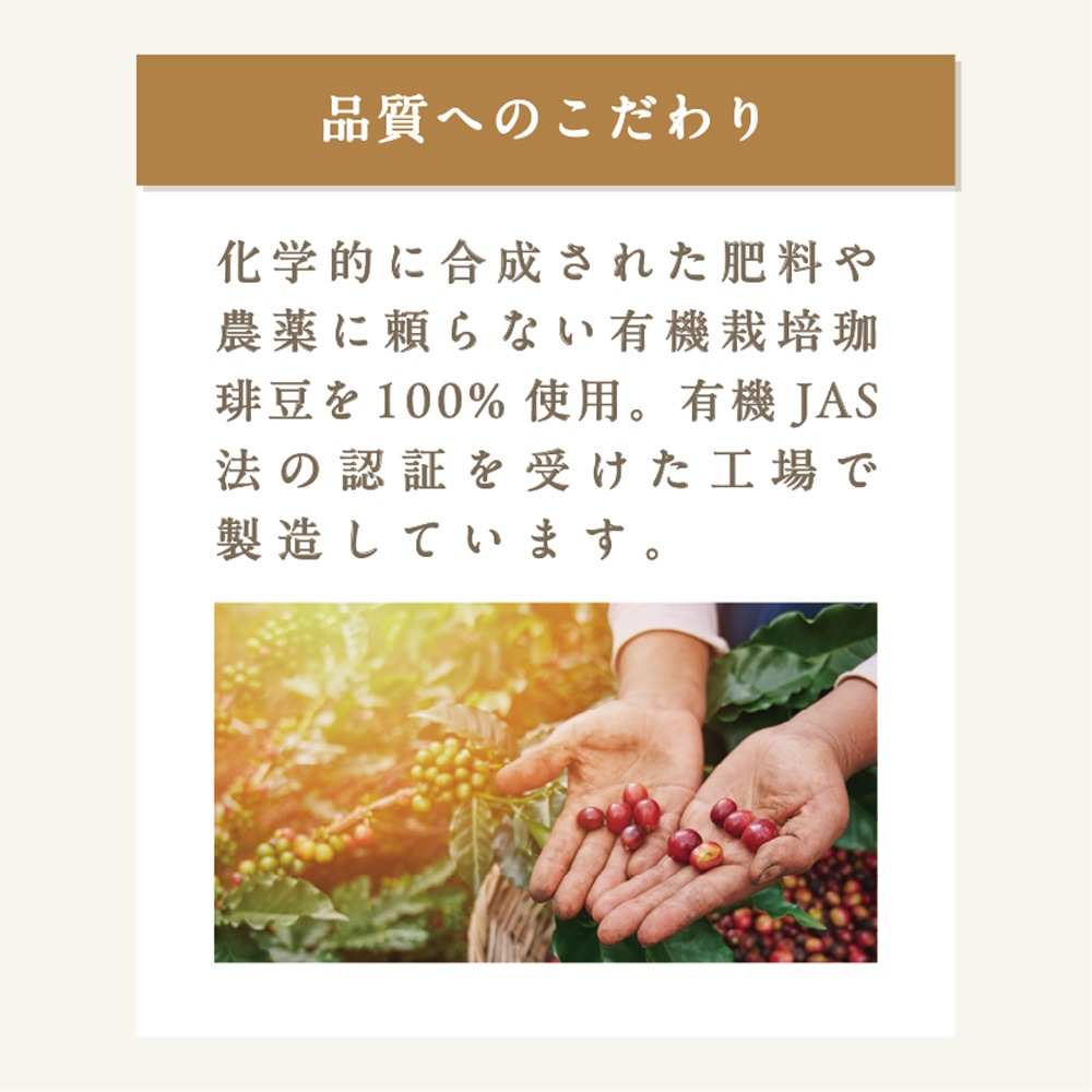 ������̵���ۡ��������˥å������ҡ������ꥸ�ʥ�֥���150���3�ѥå����åȡ� �쥮��顼�����ҡ�ʴ ͭ�����ݥ����ҡ��ˢ����츩������������������ޤ���d2��