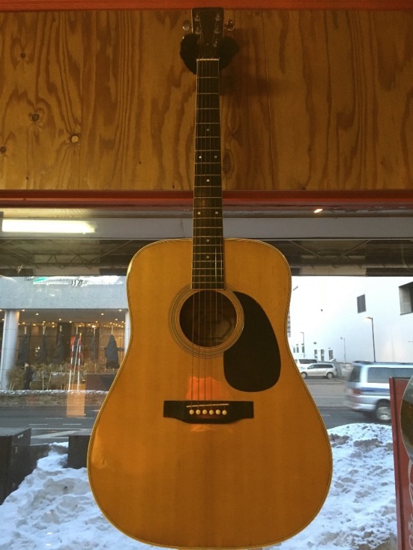 Jagard（ジャガード) JD-200モデル アコースティックギター Electric Acoustic Guitar Jagard & Co. JD-200 NaturalNakai Gakki Co