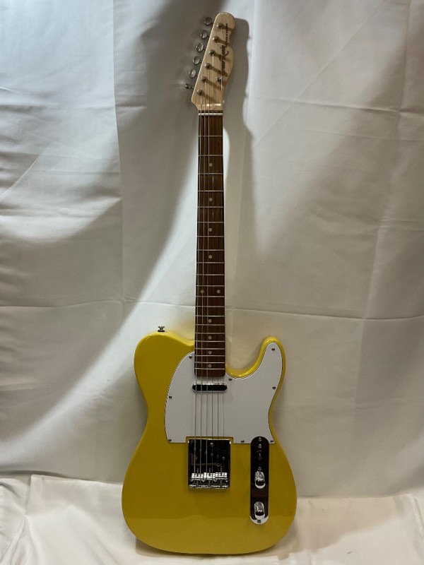 GrassRoots G-TE-50R AB SKB製ケース付き