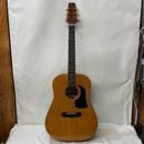 u49845 ARIA ꥢ AW-75  ե ϥ