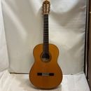 u59084����š����� ���饷�å������� �깩��