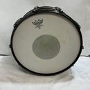 u60448����š��ѡ��롡CARBON PLY MAPLE ���ͥ�