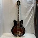 u60966����š����ԥե��� EPIPHONE SHERATON II���ӥ����ӡ����դ� �ڥ���