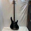 u61168����š�Washburn��PB-1250 PAT BADGER�����ͥ��㡼��ǥ�