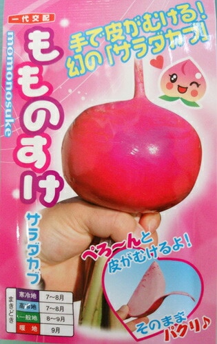 ★カブ種 【 もものすけ 】 小袋 （栽培用 種子 かぶ 蕪 ナント）