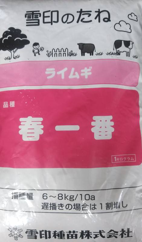 ※代金引換不可※ ライムギ種 【 春一番 】 20kg（1kg×20袋入）（らいむぎ ライ麦 種子 栽培用 農場 大規模播種向け 雪印）