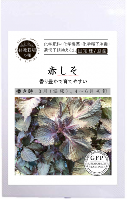有機種子 【 赤しそ 】 小袋 （栽培用 種子 ハーブの種子）