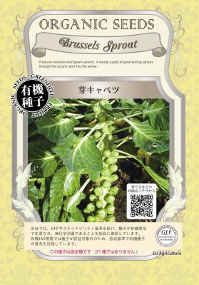 【有機種子】芽キャベツ 小袋　　[栽培用 種子 葉菜]
